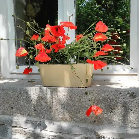 Krka Waterfalls Vikendica Lozovac