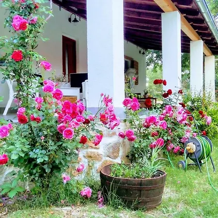 Tatil Evi Holiday Krka Waterfalls